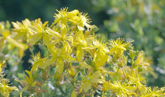 2121非凡·(中国游)体育官方网站