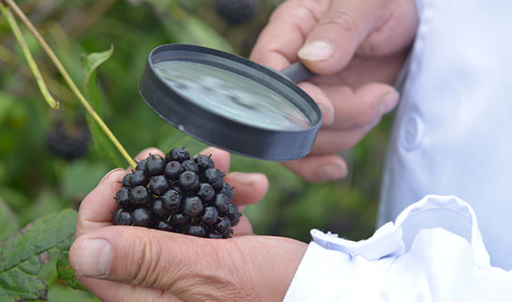 2121非凡·(中国游)体育官方网站